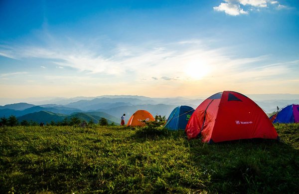 Comment organiser un camping pour explorer les zones humides et leurs écosystèmes?